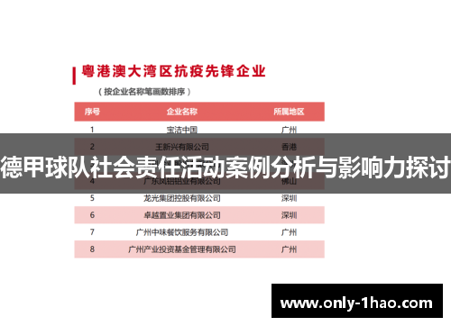 德甲球队社会责任活动案例分析与影响力探讨