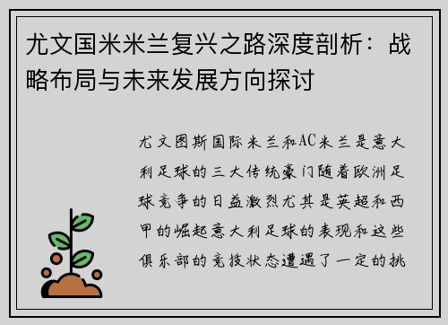 尤文国米米兰复兴之路深度剖析：战略布局与未来发展方向探讨