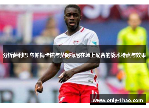 分析萨利巴 乌帕梅卡诺与楚阿梅尼在场上配合的战术特点与效果