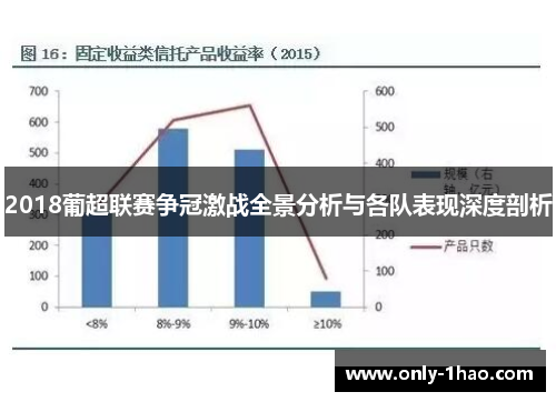 2018葡超联赛争冠激战全景分析与各队表现深度剖析