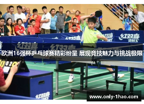 欧洲16强杯乒乓球赛精彩纷呈 展现竞技魅力与挑战极限