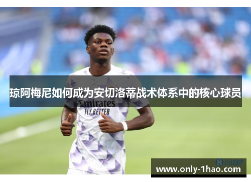 琼阿梅尼如何成为安切洛蒂战术体系中的核心球员