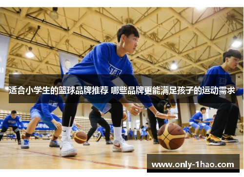 适合小学生的篮球品牌推荐 哪些品牌更能满足孩子的运动需求