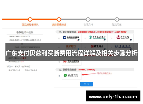 广东支付贝兹利买断费用流程详解及相关步骤分析