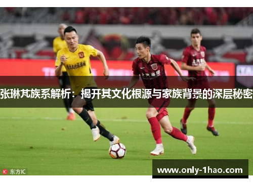 张琳芃族系解析：揭开其文化根源与家族背景的深层秘密
