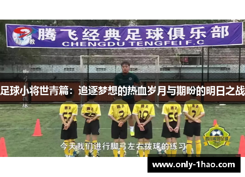 足球小将世青篇：追逐梦想的热血岁月与期盼的明日之战