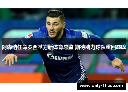 阿森纳任命罗西基为新体育总监 期待助力球队重回巅峰 阿森纳任命罗西基为新体育总监 期待助力球队重回巅峰