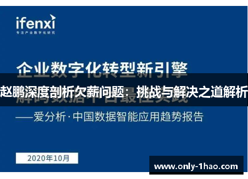 赵鹏深度剖析欠薪问题:挑战与解决之道解析 赵鹏深度剖析欠薪问题:挑战与解决之道解析