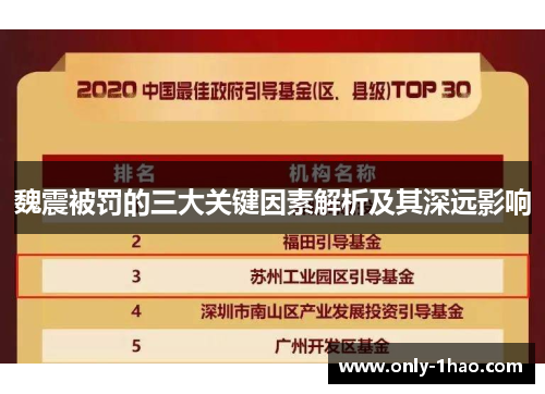 魏震被罚的三大关键因素解析及其深远影响